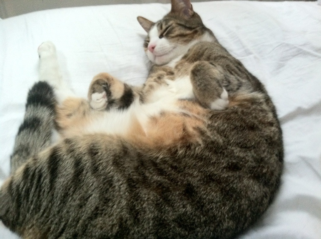 九游sports-_新兴国家在国际比赛中的冲击与崛起_，新兴国家的崛起会带来什么影响