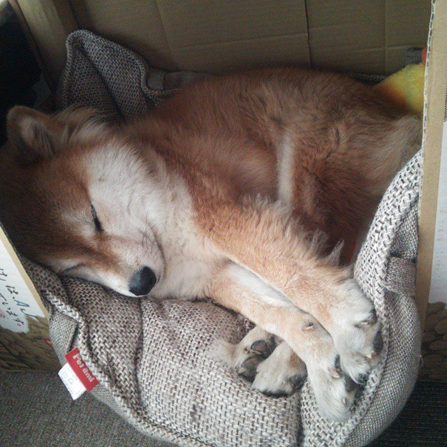 九游网页版官网-“英超最后冲刺：强队纷纷发力，争夺佳绩”，英超最后两轮对阵