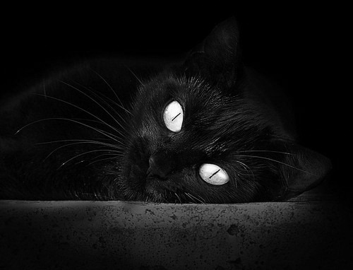 九游娱乐官网 (jiuyou)-凯尔特人“新核”塔图姆，成为联盟最具潜力的年轻明星！，凯尔特人塔图姆今日集锦