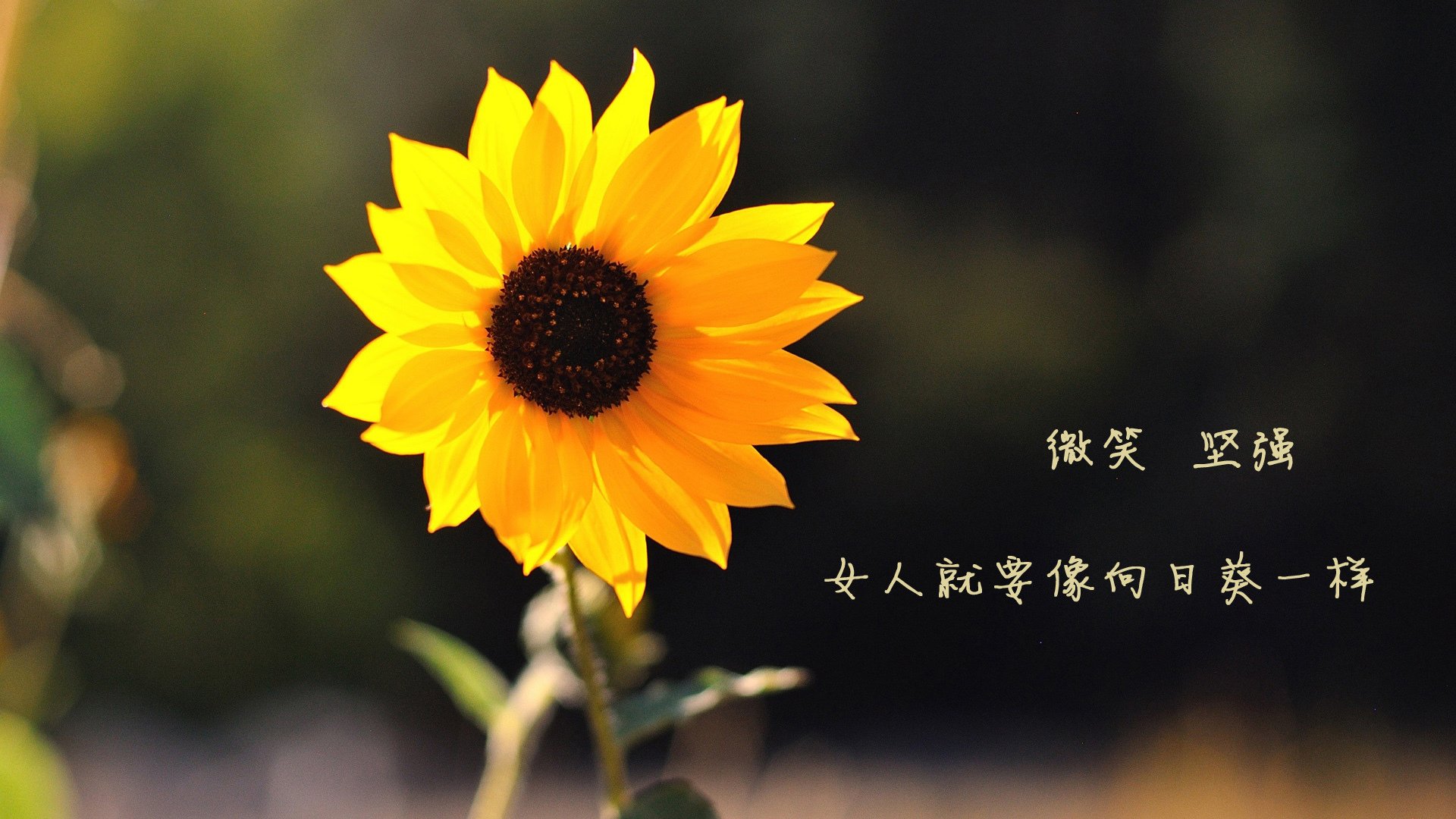 赛季最火爆的外线投篮大赛，谁是“远距离王”？，线外投篮球叫什么