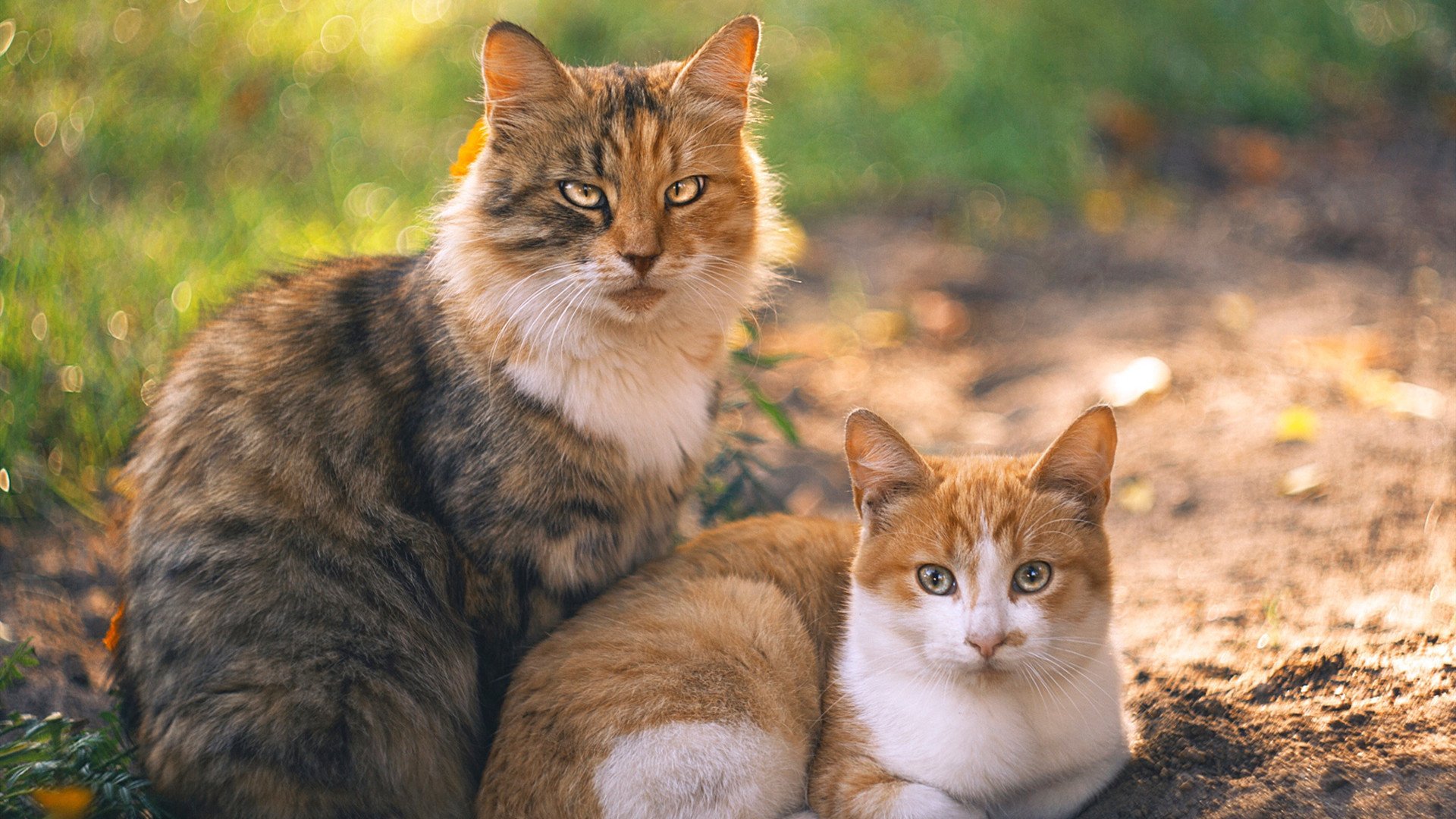九游下载中心-逆境奋战：那些在逆境中创造奇迹的团队，五个在逆境中奋起的事例