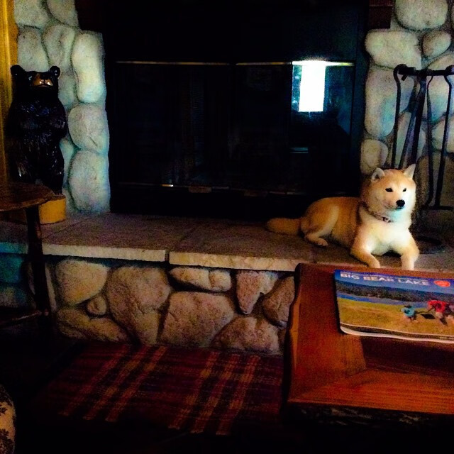 速度之王:联盟中最快球员的传奇瞬间,速度最快的nba球员