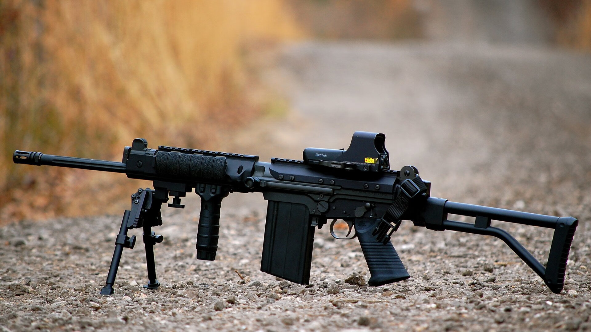 女足世界杯赛场裁判培训升级,女足世界杯中国裁判