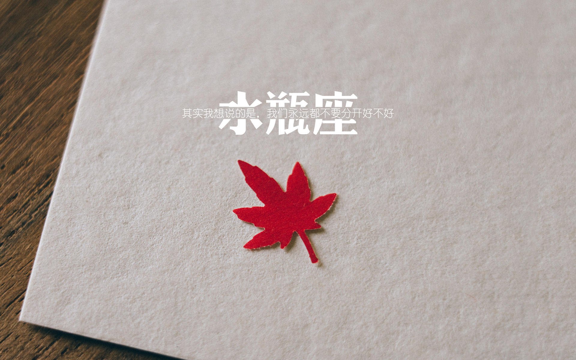 巴拉圭队豪取三分 特立尼达电梯