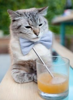 蔚山现代新援首秀亮眼,蔚山现代主力