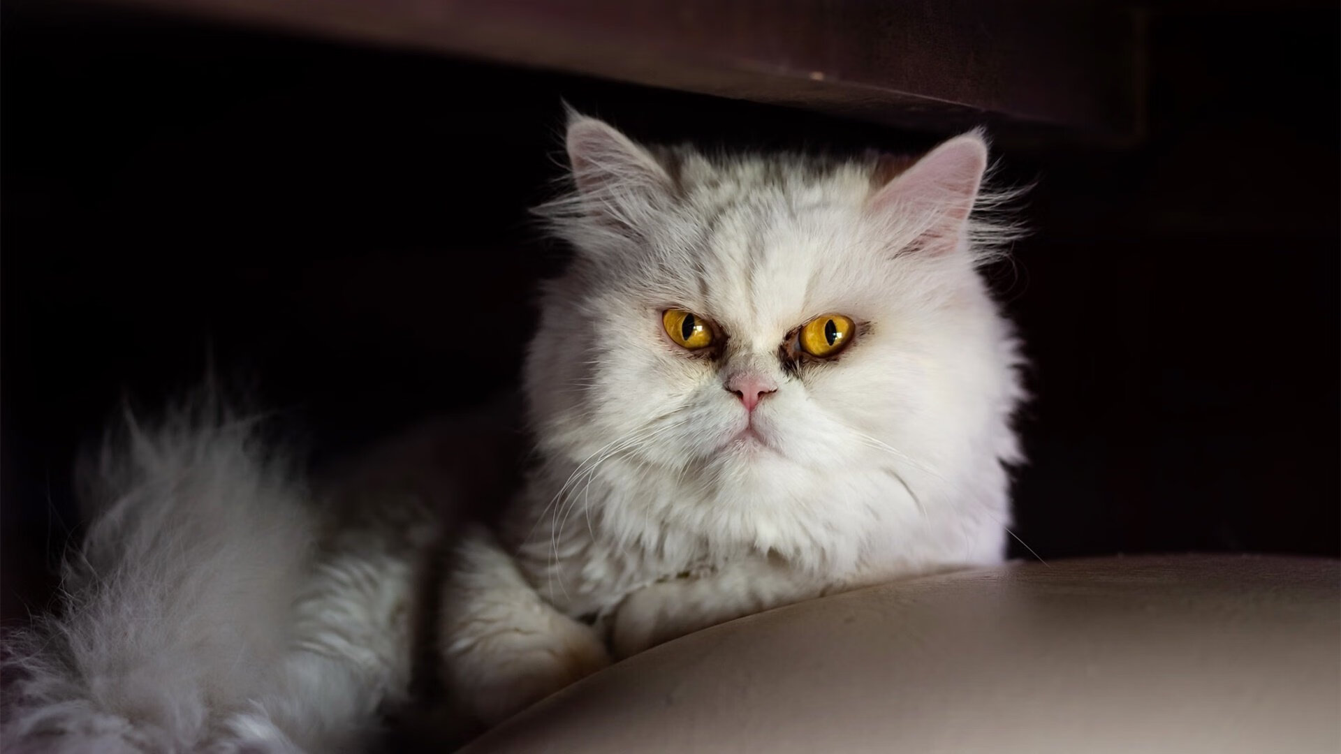 意甲裁判语义分析系统提升VAR判罚准确性的方法探讨,var裁判技术