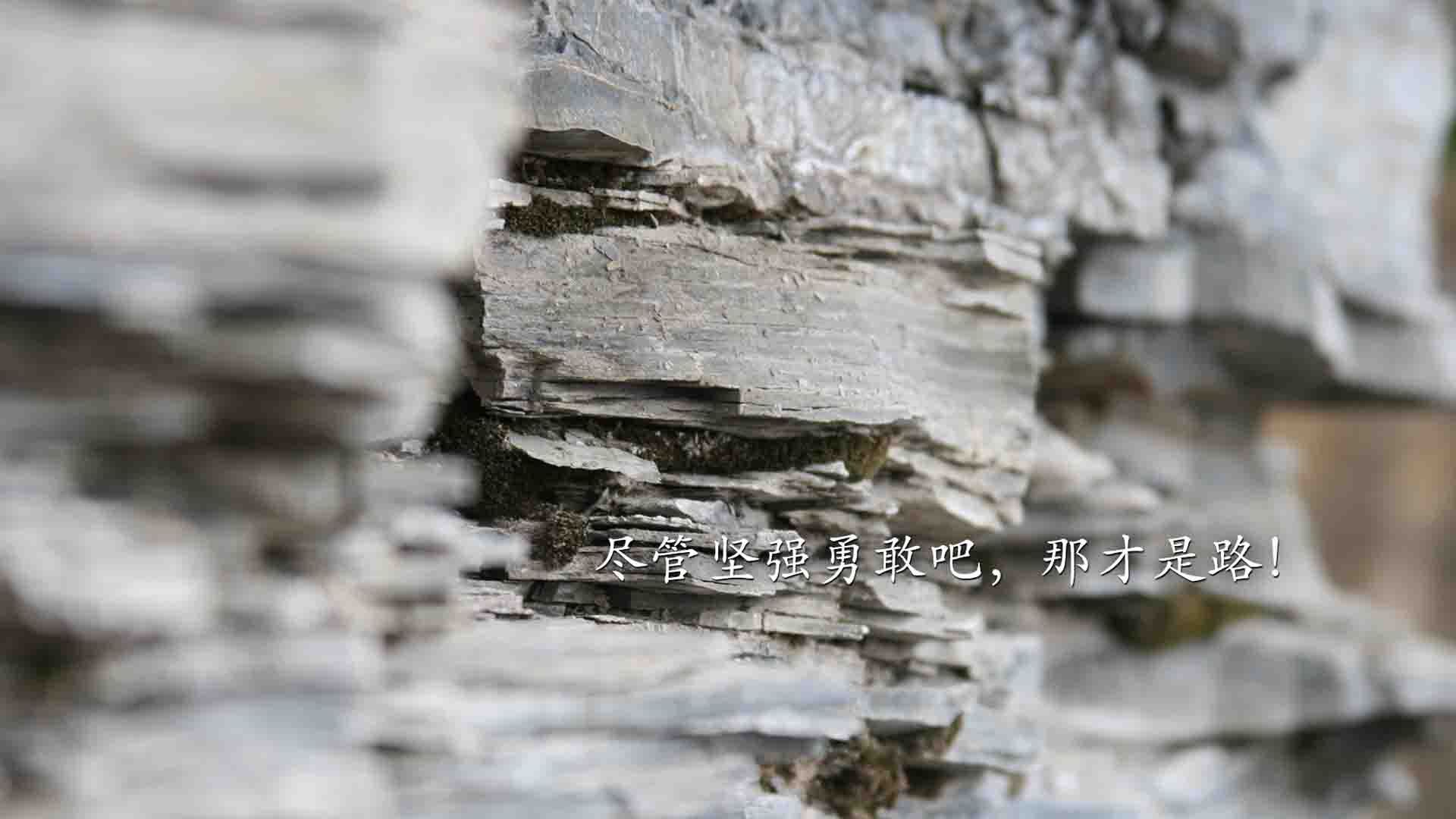 法甲中场组织者数据与比赛影响力对比,法甲中场休息多久