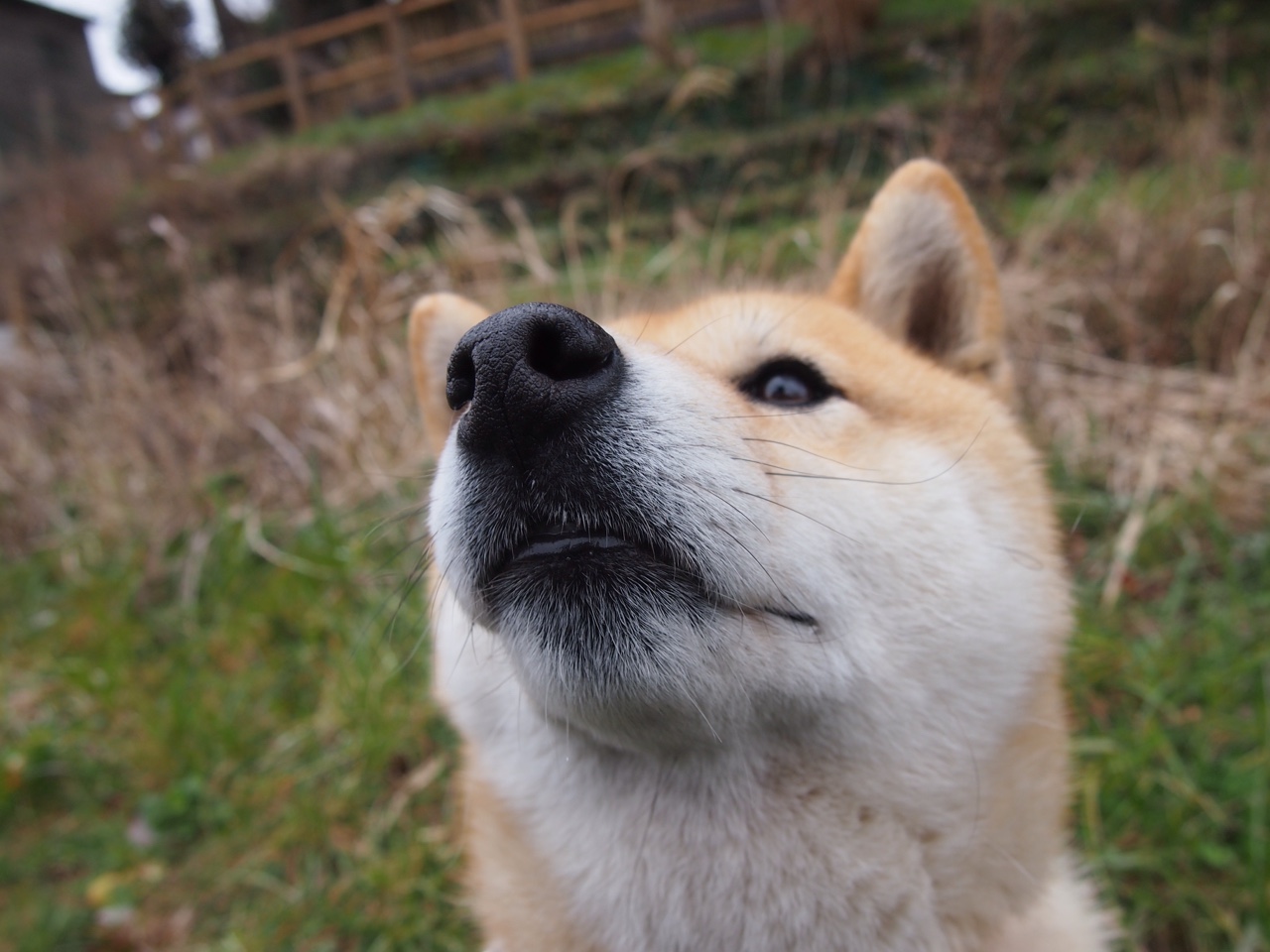 英超球员赛后恢复曲线数据驱动个性化训练方案设计