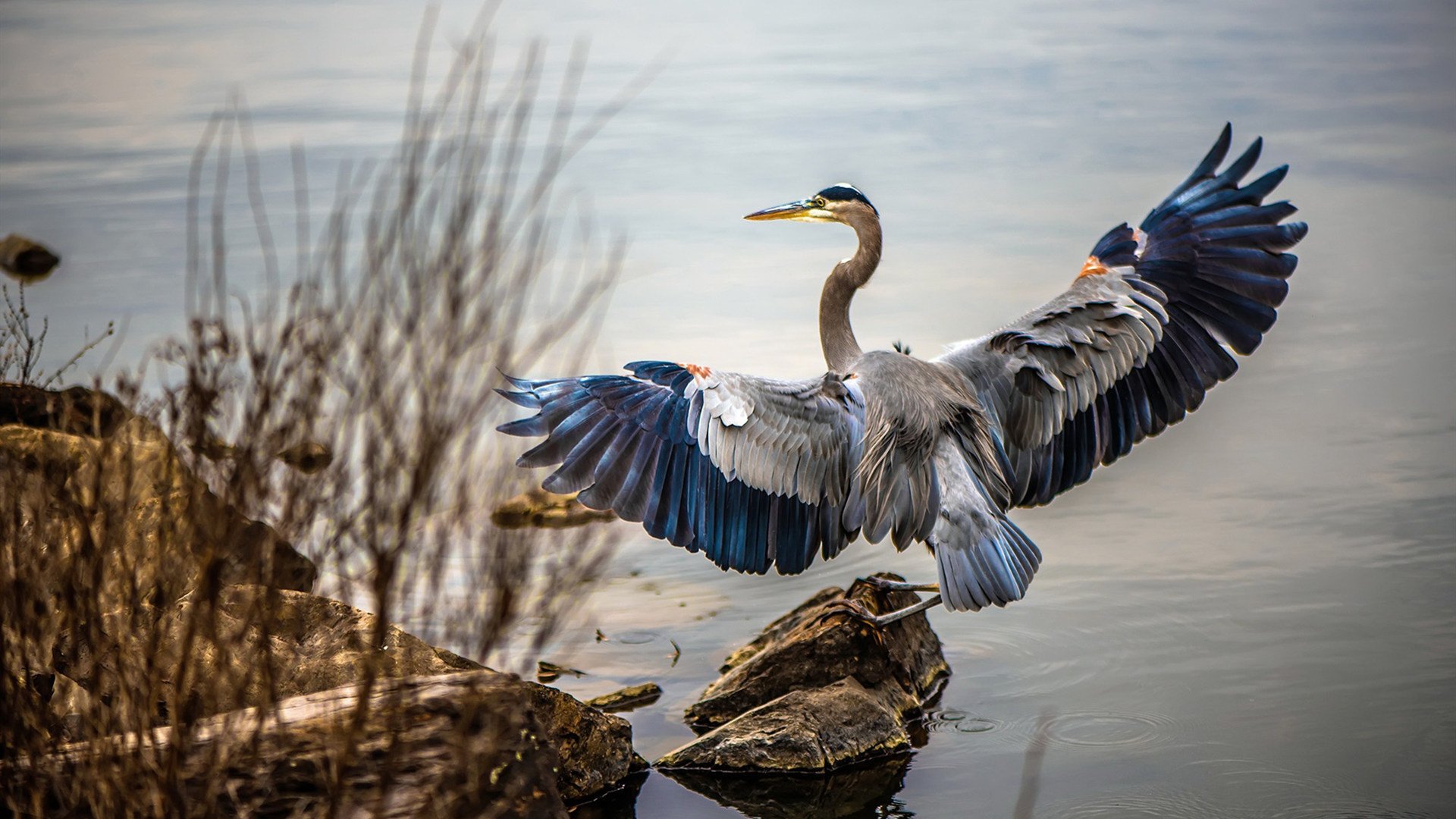 群众体育发展与城市空间利用协调分析,群众体育发展的主要问题有哪些