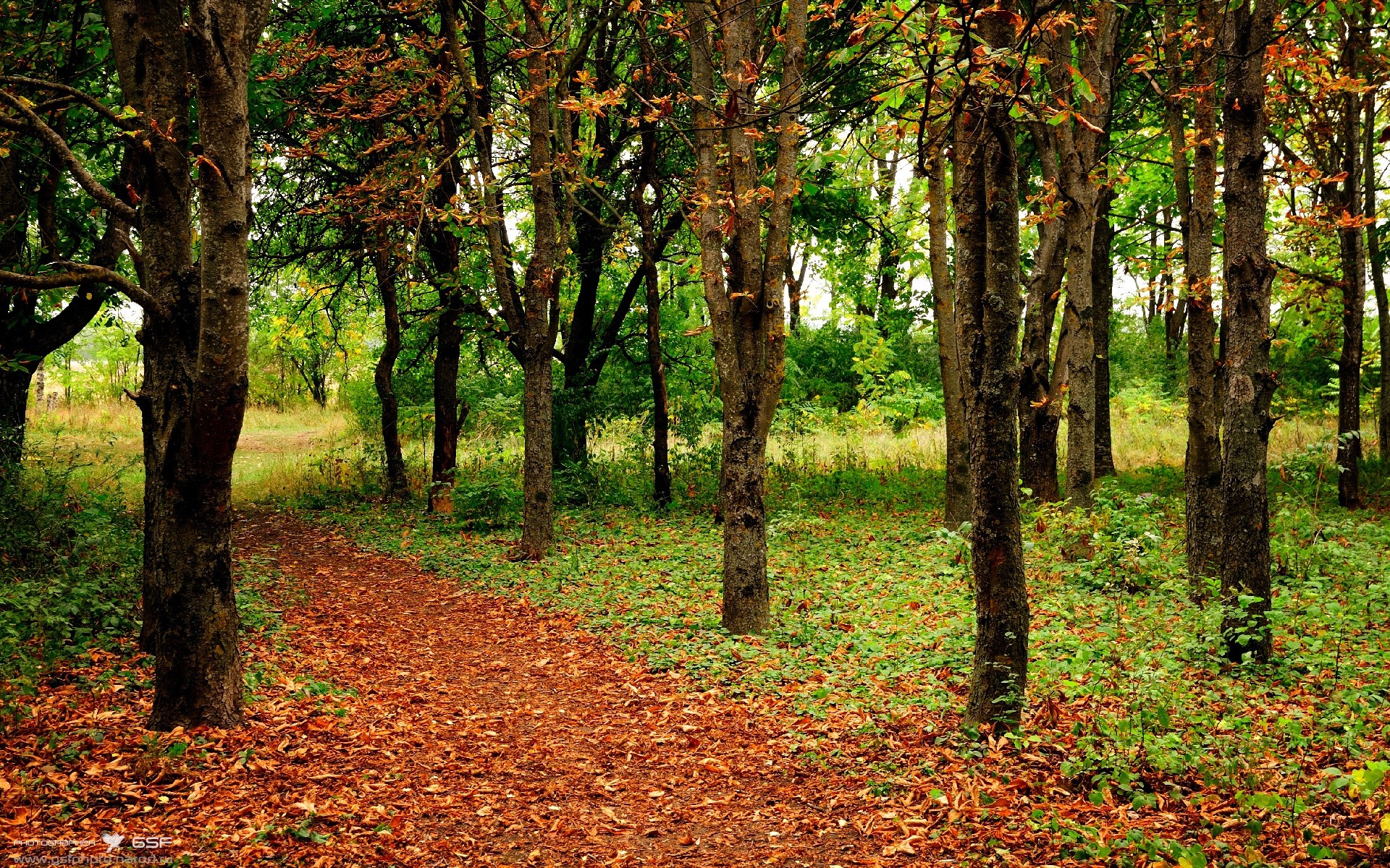 九游登录中心-乔纳·隆戈的突破力与速度，点燃全黑队攻势的火焰，乔纳瓦罗是谁