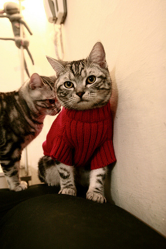 女篮国家队强化防守协同提升团队防守能力,女子篮球防守视频