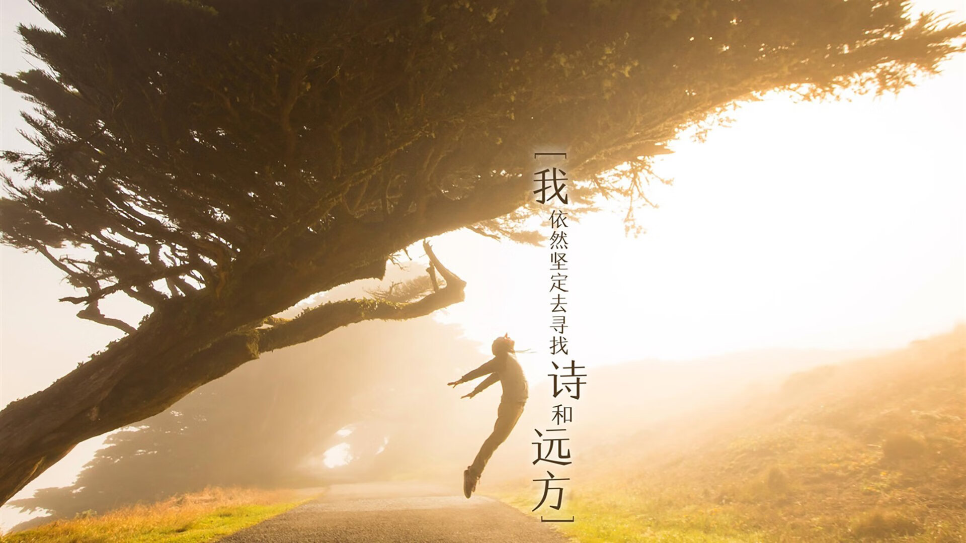 篮球俱乐部换帅风波引发热议,篮球俱乐部成员